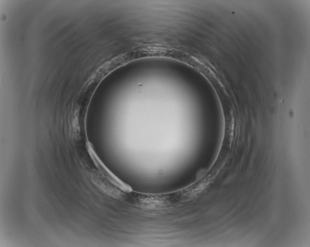 X0000086280516200703291504
