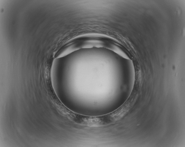 X0000086280517200703291504