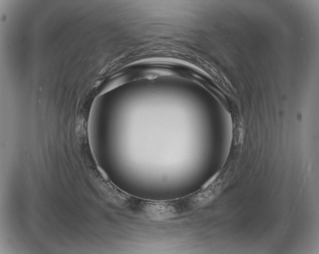 X0000086280521200703291504