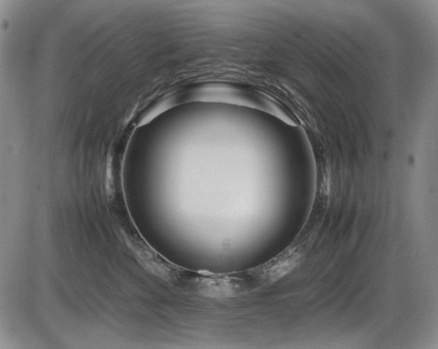 X0000086280524200703291504