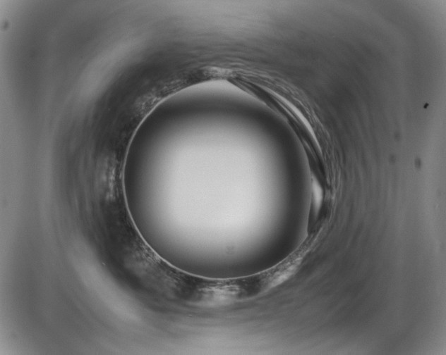 X0000086280525200703291504