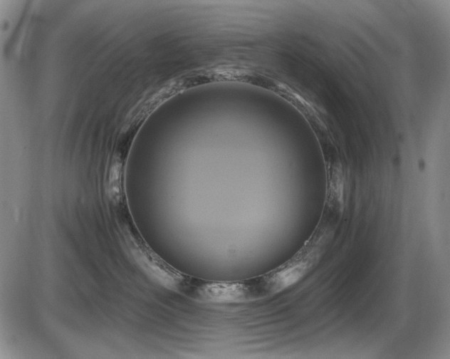 X0000086280526200703291504