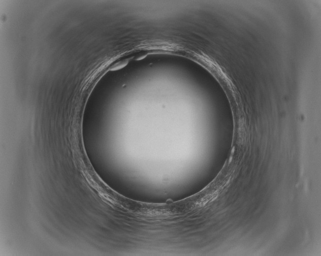 X0000086280529200703291503
