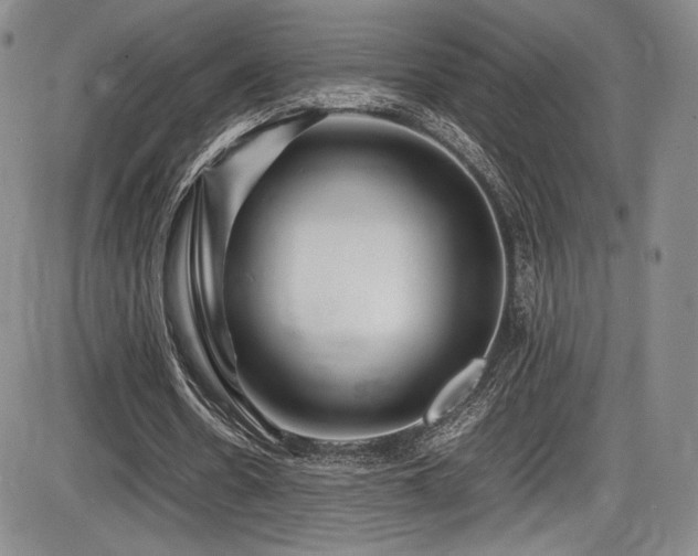 X0000086280530200703291503