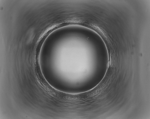 X0000086280531200703291503
