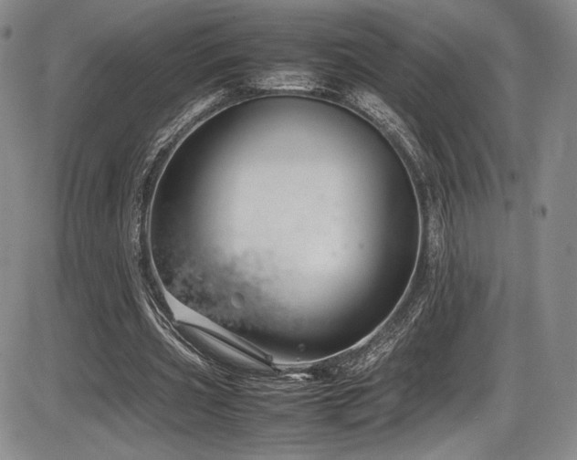 X0000086280533200703291503