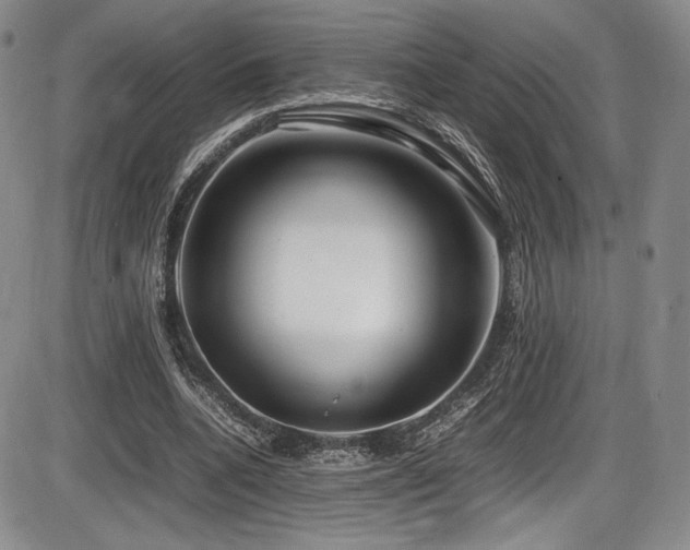 X0000086280536200703291503