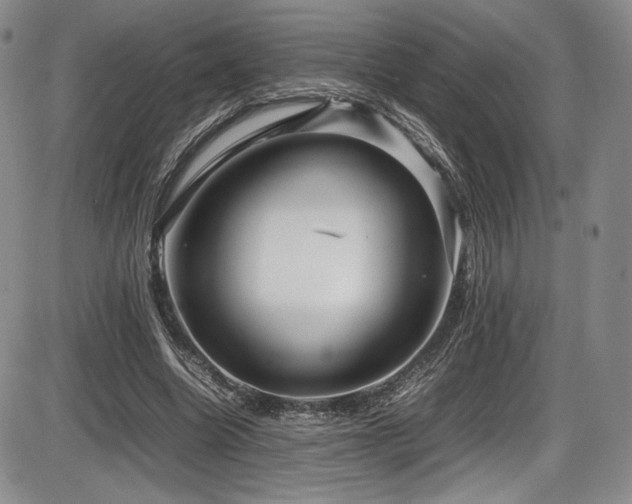 X0000086280538200703291504