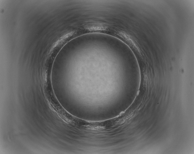 X0000086280539200703291504
