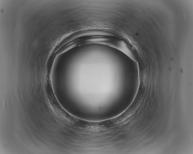 X0000086280540200703291504