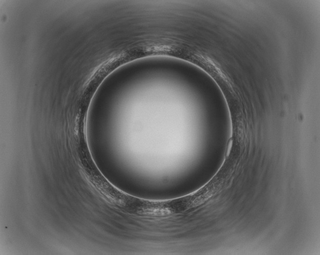 X0000086280543200703291504