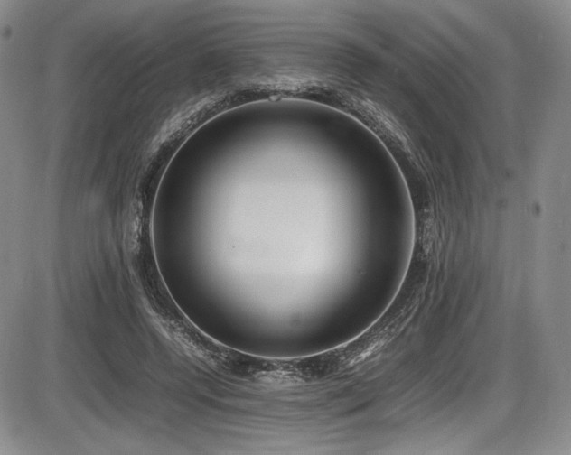 X0000086280544200703291504