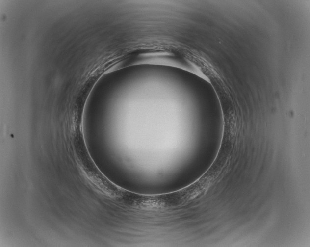 X0000086280546200703291504