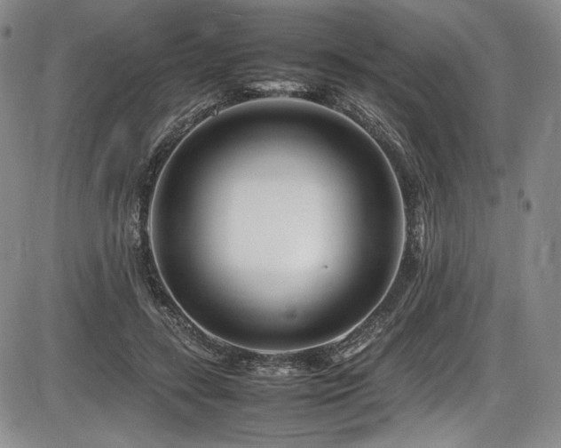 X0000086280547200703291504