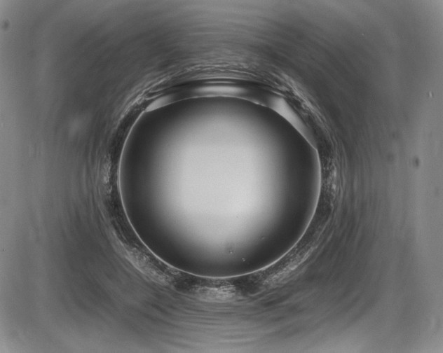 X0000086280548200703291504