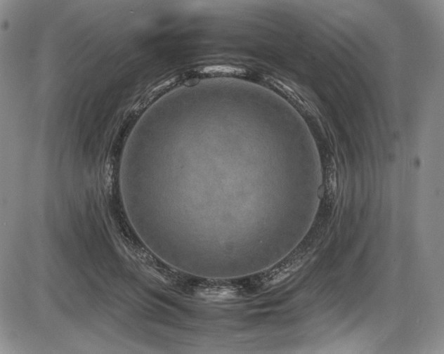 X0000086280551200703291504