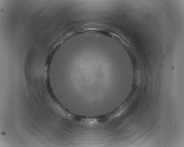 X0000086280554200703291504