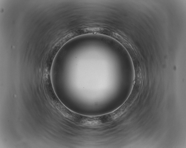 X0000086280555200703291504