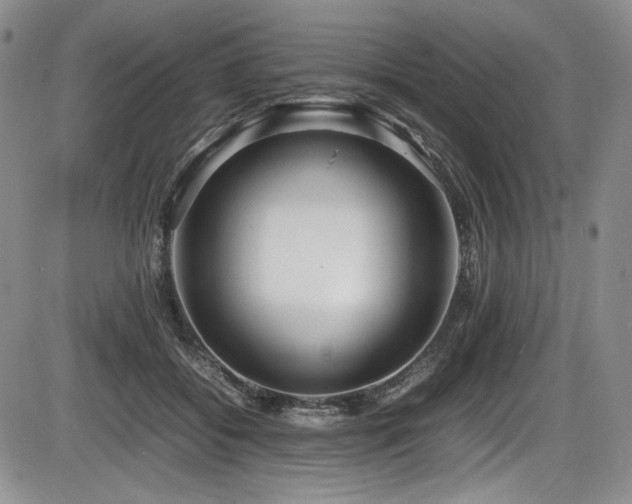 X0000086280556200703291504