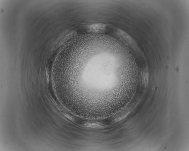 X0000086280557200703291504