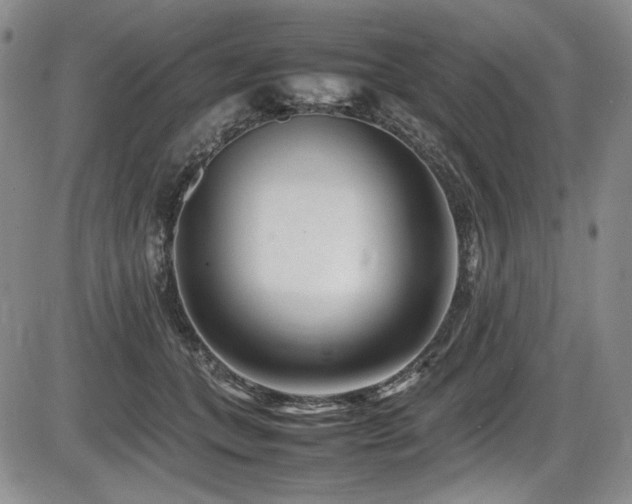 X0000086280559200703291504