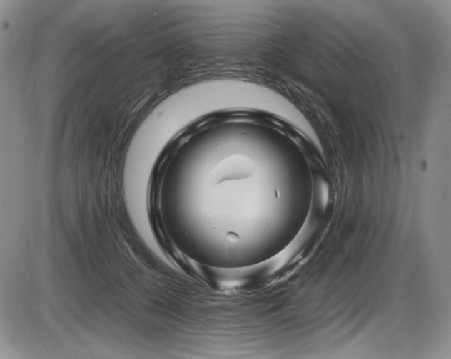 X0000086280560200703291504