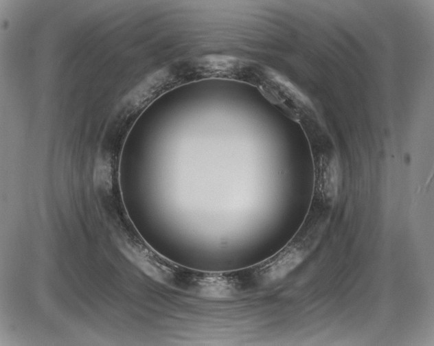 X0000086280562200703291504