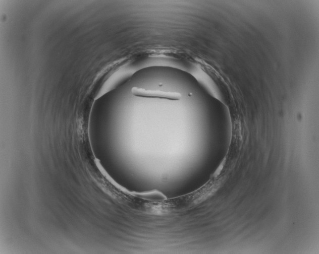 X0000086280564200703291504