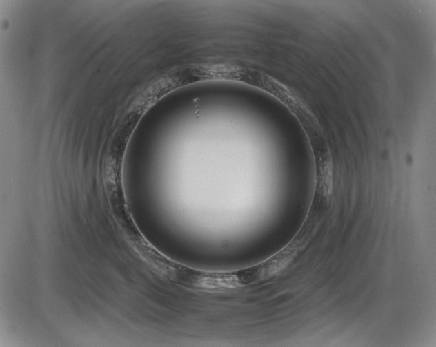 X0000086280571200703291504