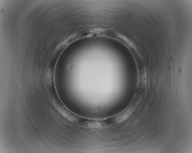 X0000086280572200703291504