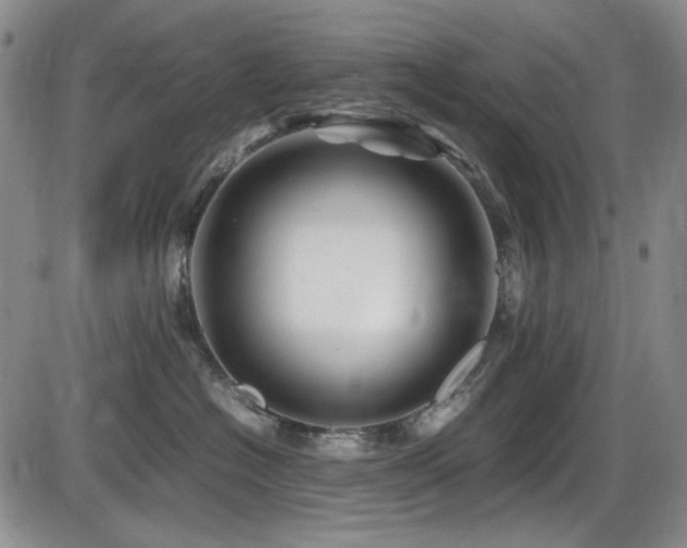 X0000086280574200703291504
