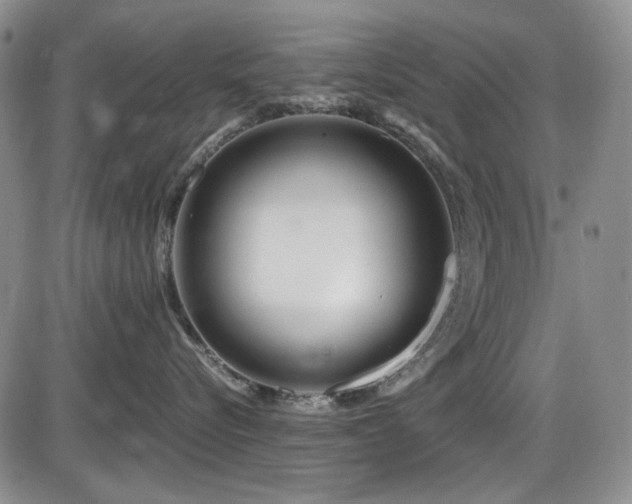 X0000086280576200703291504