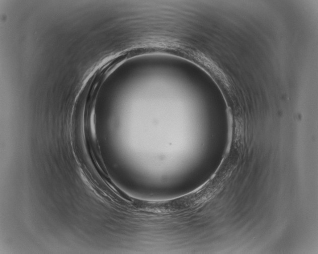 X0000086280580200703291503