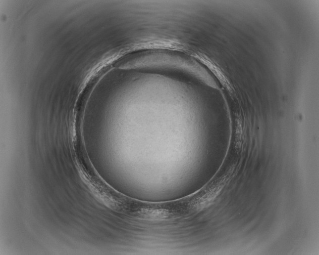 X0000086280582200703291503