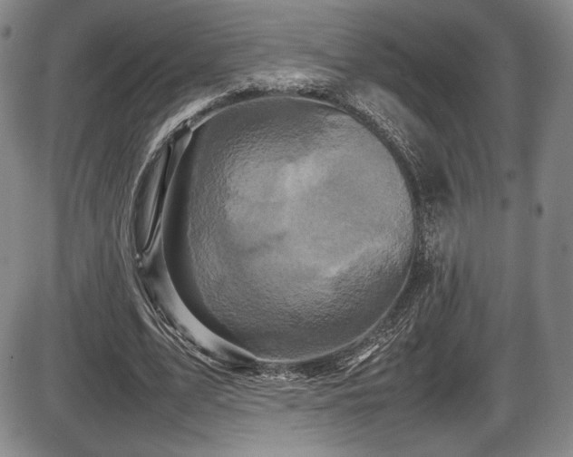 X0000086280583200703291503