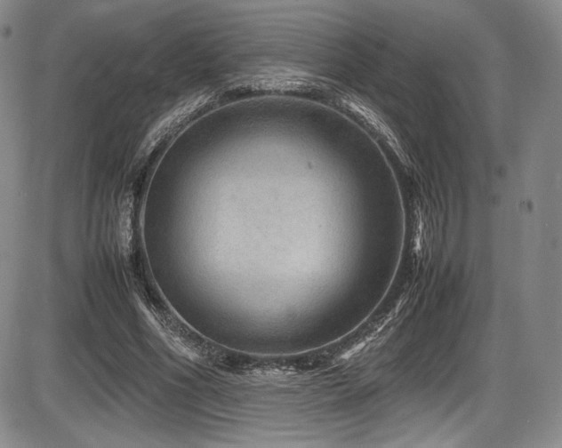 X0000086280586200703291503