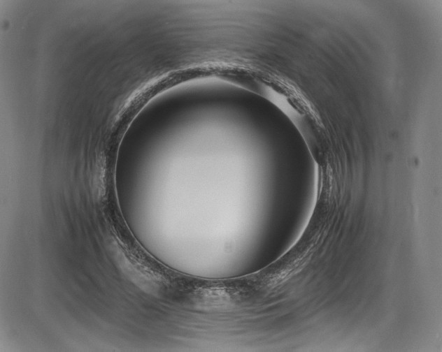 X0000086280588200703291503