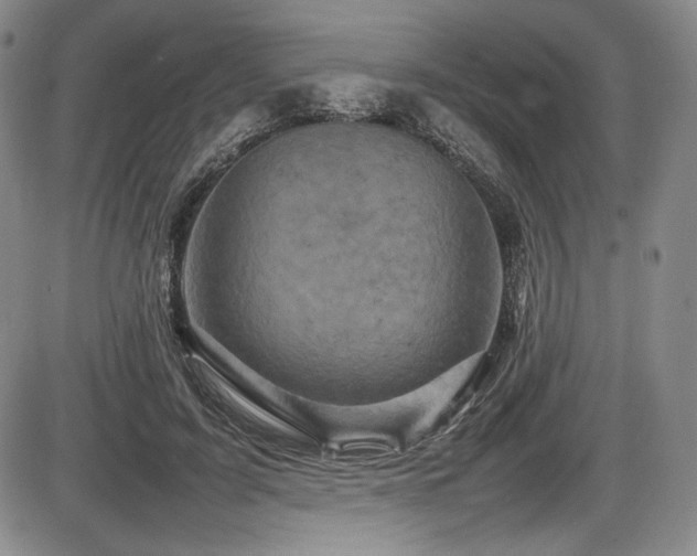 X0000086280595200703291503
