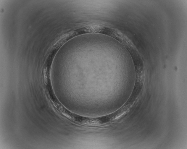 X0000086280599200703291503