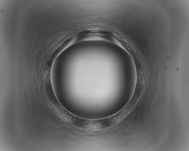 X0000086280601200703291503
