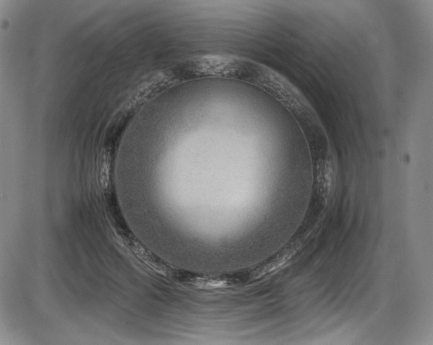 X0000086280602200703291503