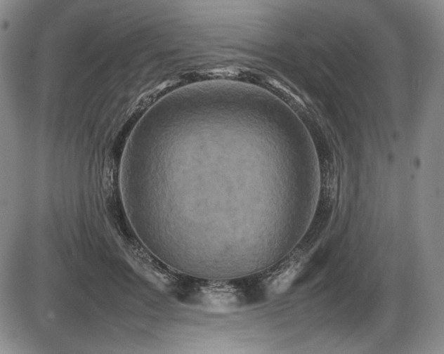 X0000086280603200703291503