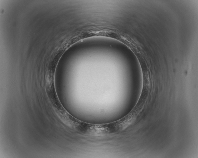 X0000086280607200703291503