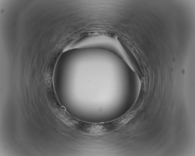 X0000086280609200703291503