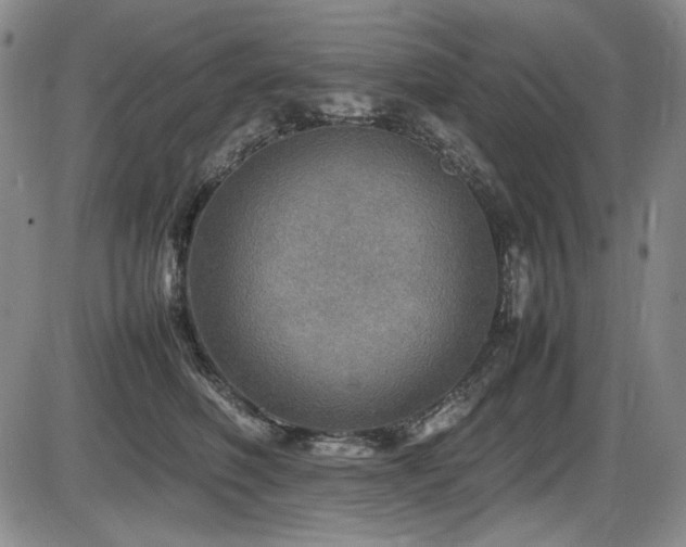 X0000086280614200703291503