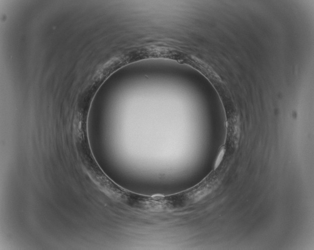 X0000086280615200703291503