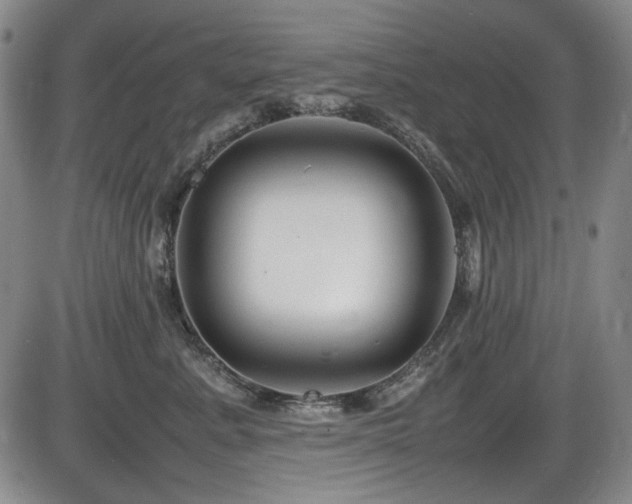 X0000086280619200703291503