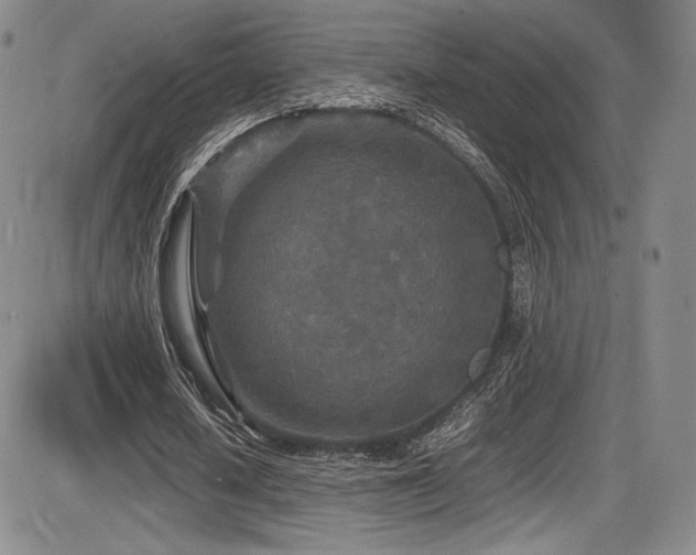 X0000086280626200703291502