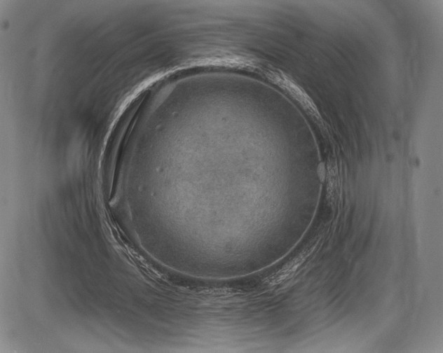 X0000086280628200703291502