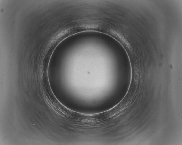X0000086280631200703291502